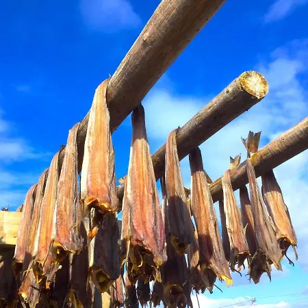 Atlantic Panorama Lofoten