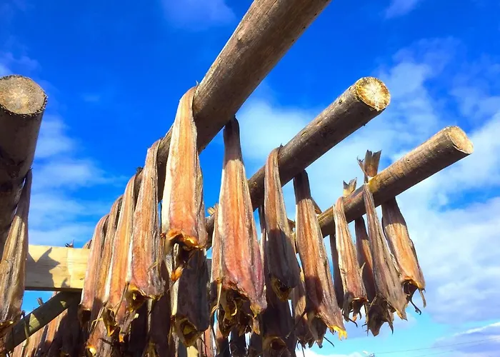 Atlantic Panorama Lofoten
